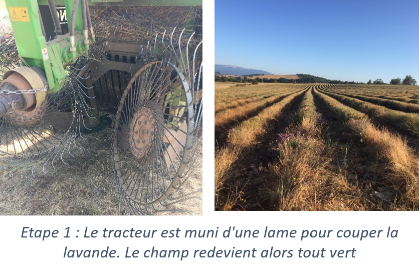 Technique du Vert-Broyé Technique du Vert-Broyé