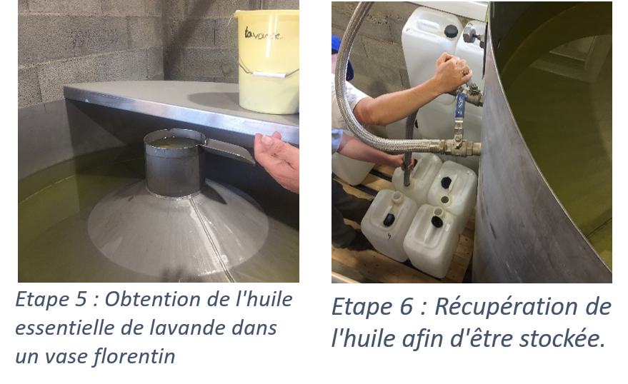 Technique du Vert-Broyé Technique du Vert-Broyé